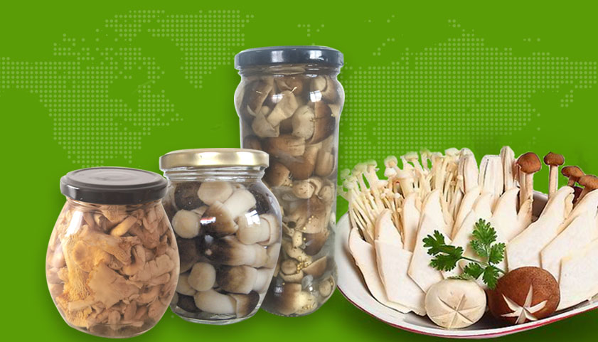 Canned Mushrooms