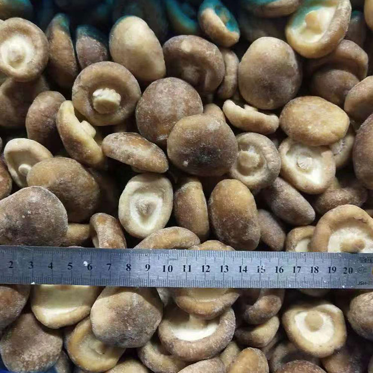 Frozen Shiitake whole 2-4cm