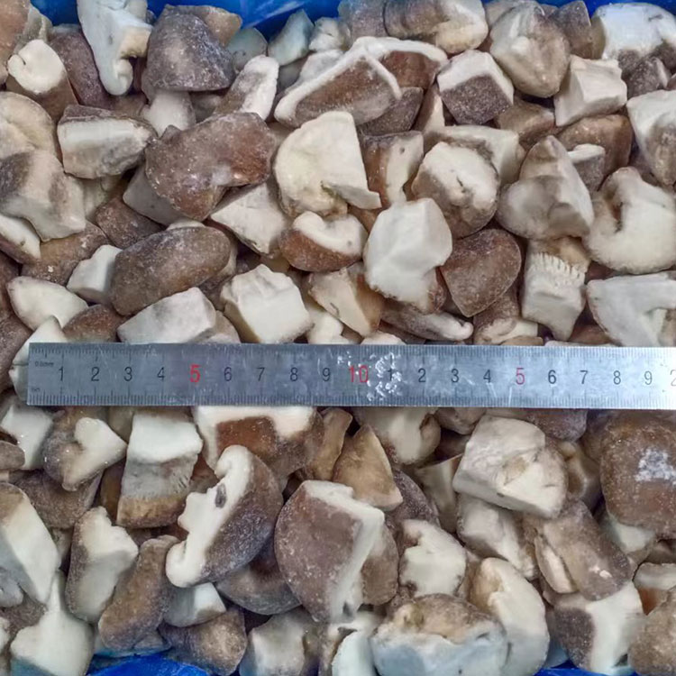 Frozen Shiitake cube B