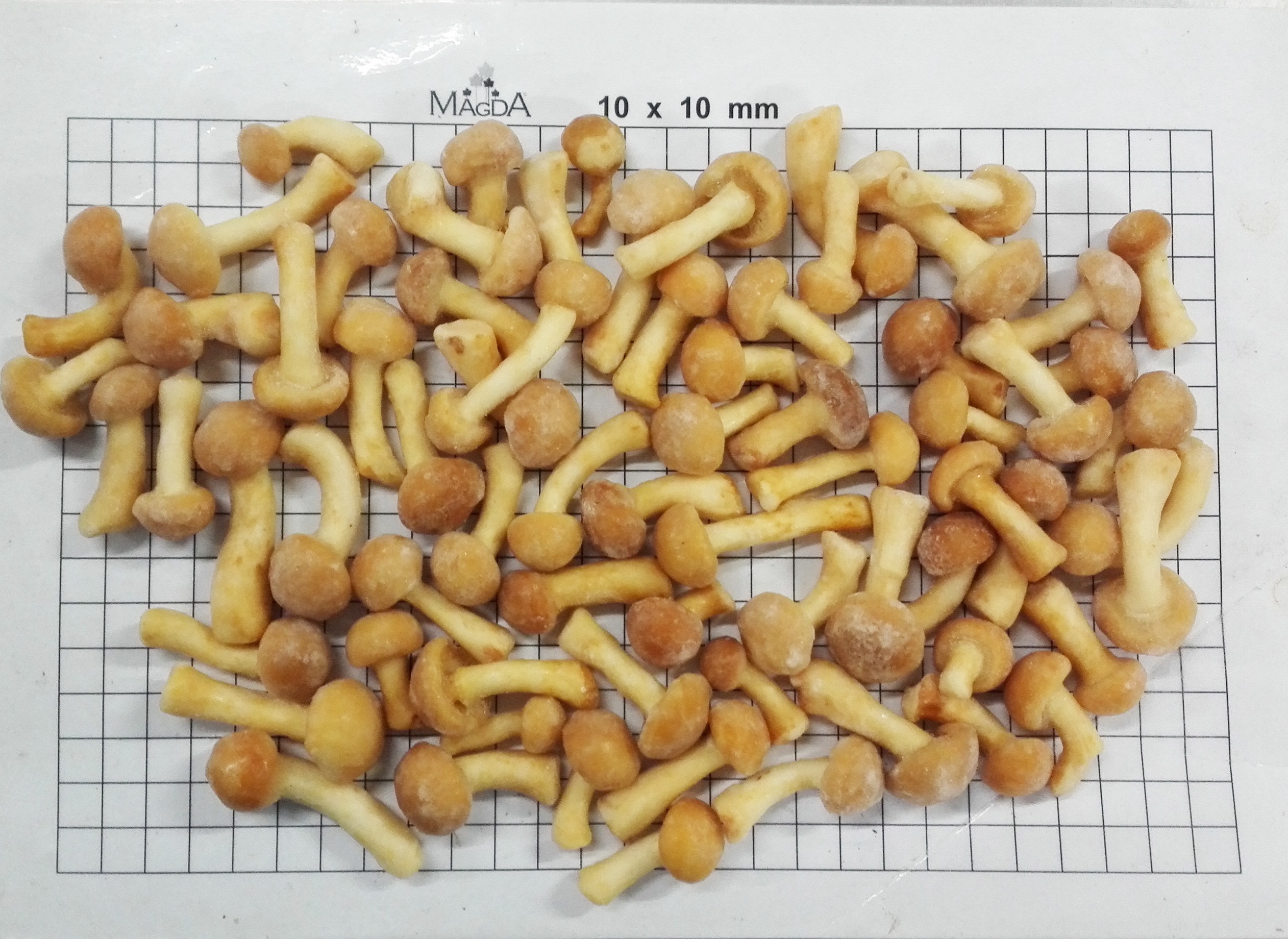 Frozen Nameko M grade