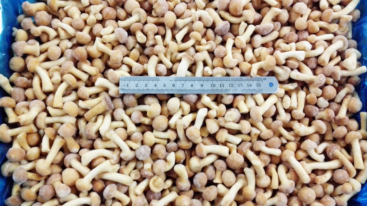 Frozen Nameko M1 grade