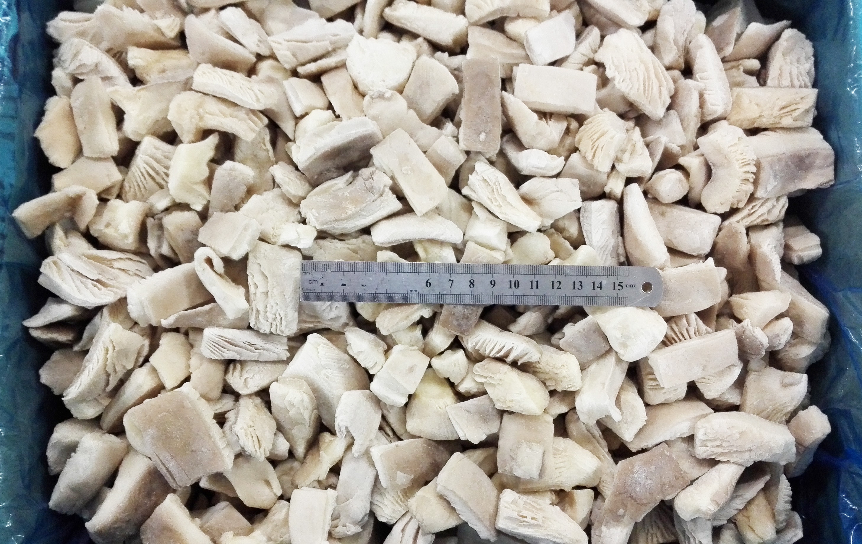 Frozen Pleurotus Ostreatus 2x4cm