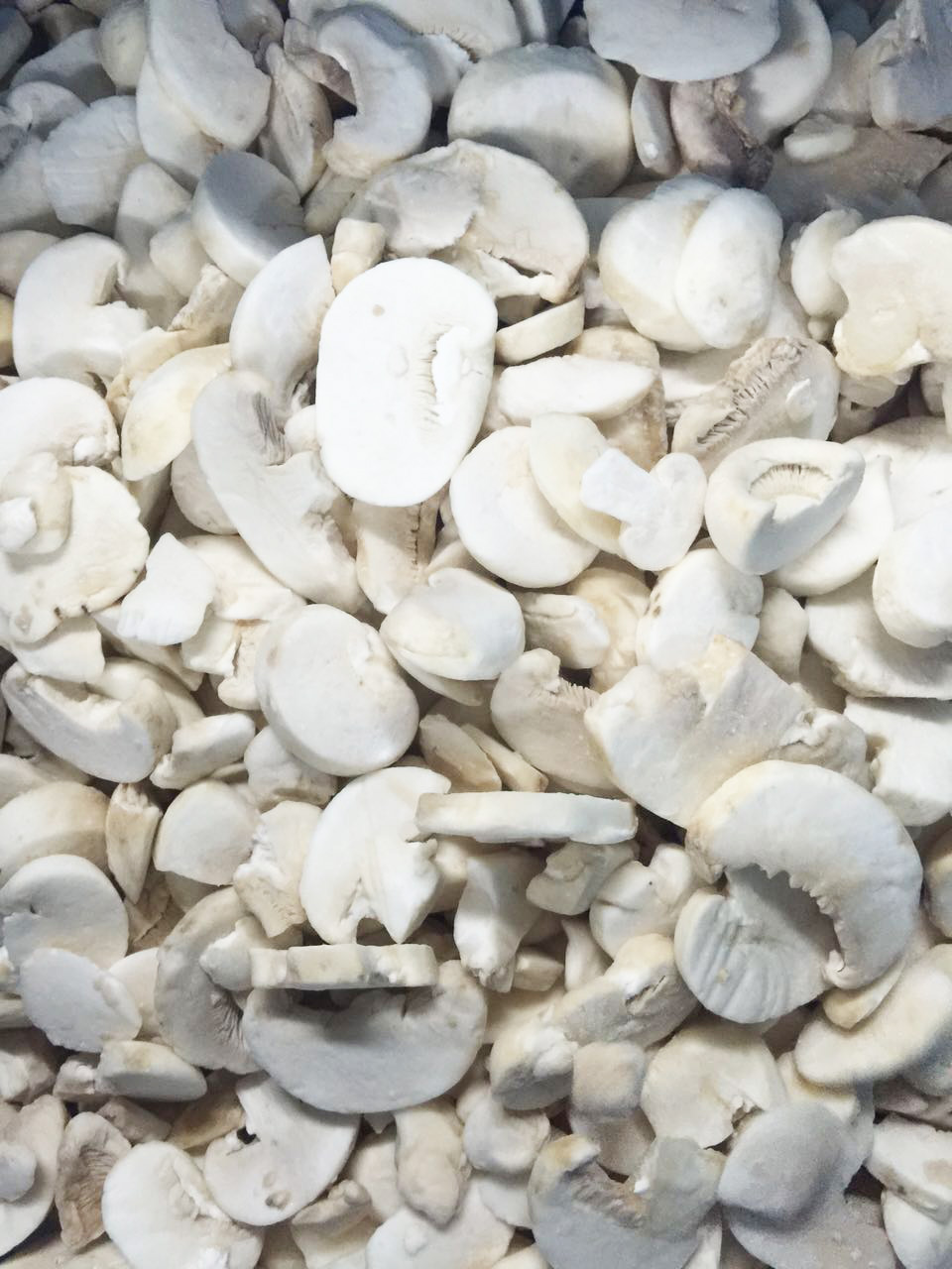 Champignon slice 20-60mm