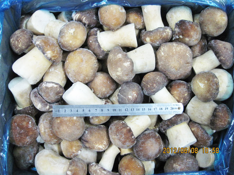 Frozen Stropharia Rugoso Annulate