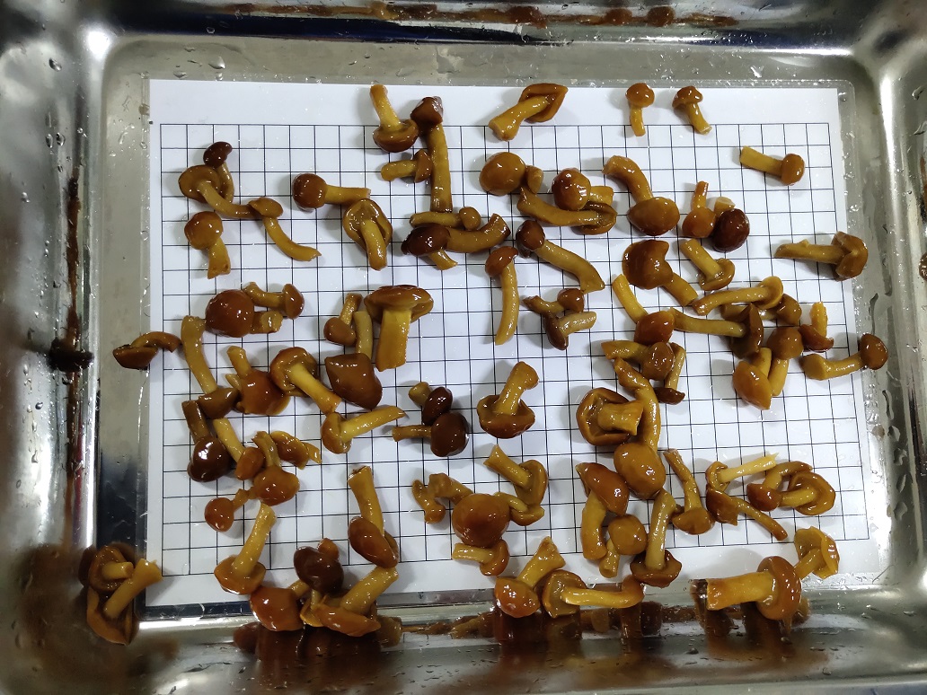 nameko in brine A grade caps 1-2.5cm ste