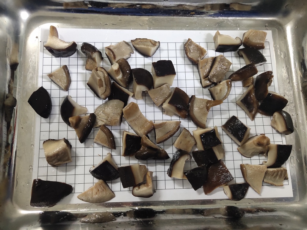 Shiitake in brine cubes