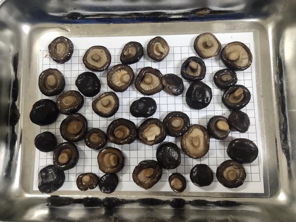 Shiitake in brine whole caps 2-5cm