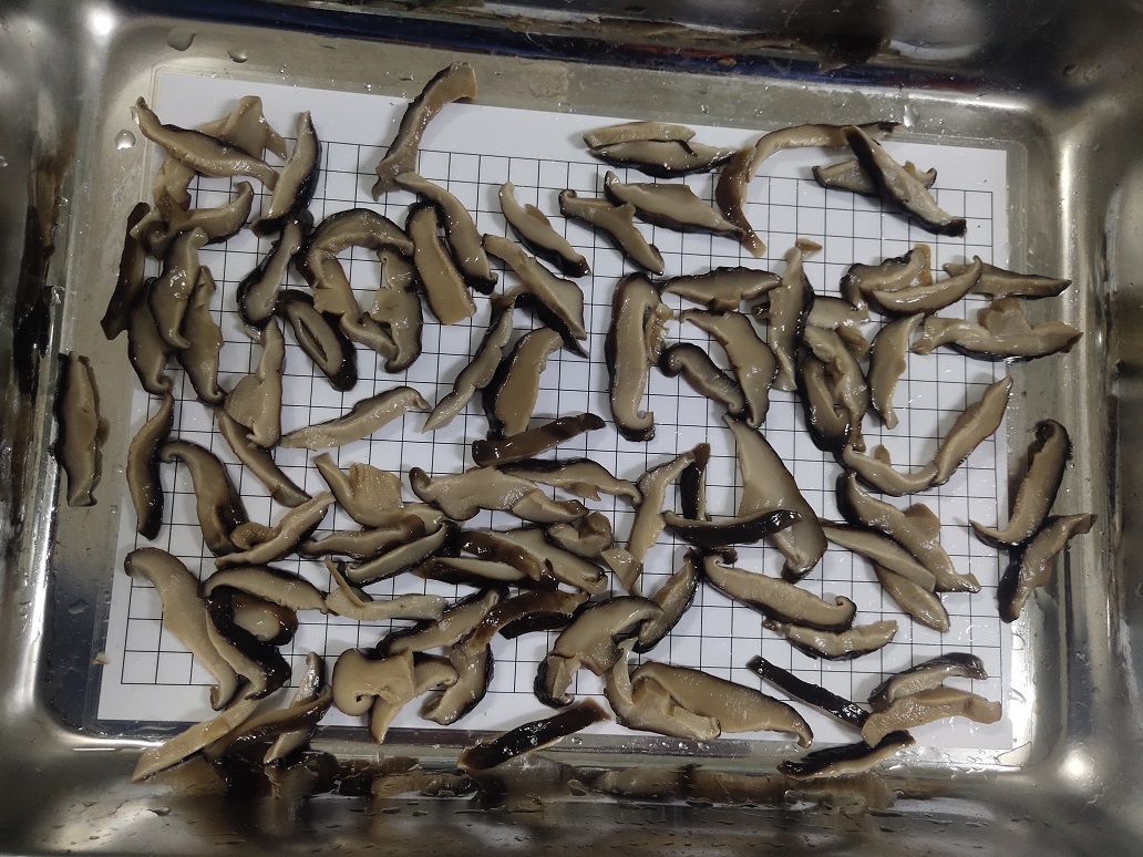 Shiitake slice in brine
