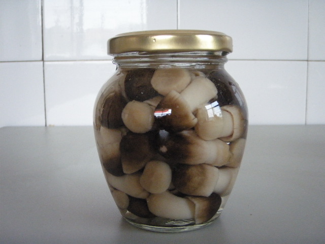 310ml Straw mushroom