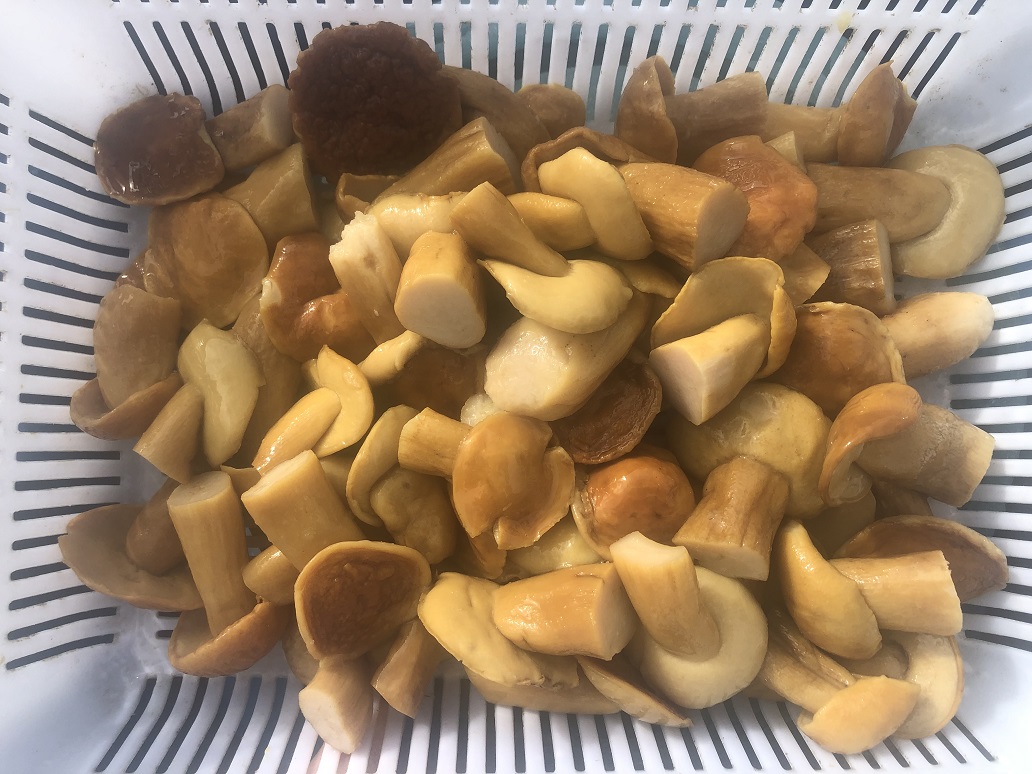 BE in brine whole A 2-4cm