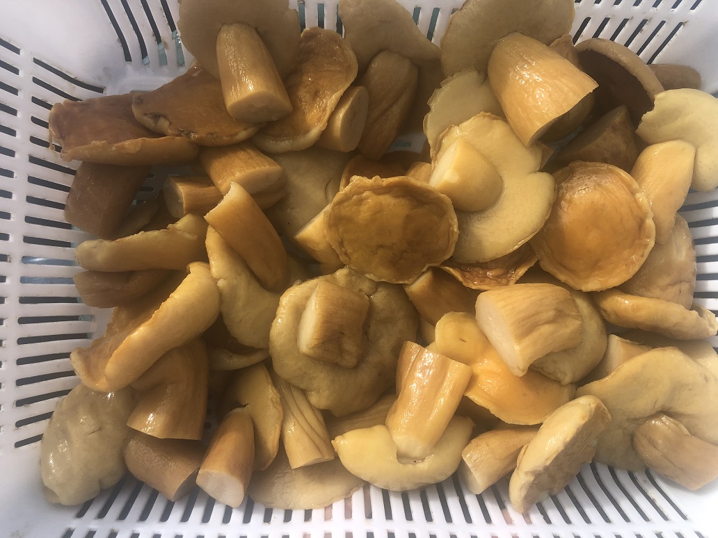 BE in brine whole A 4-6cm