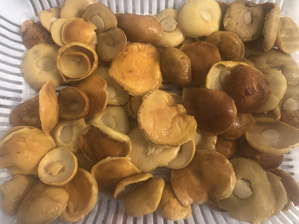 BE in brine whole cap 2-4cm