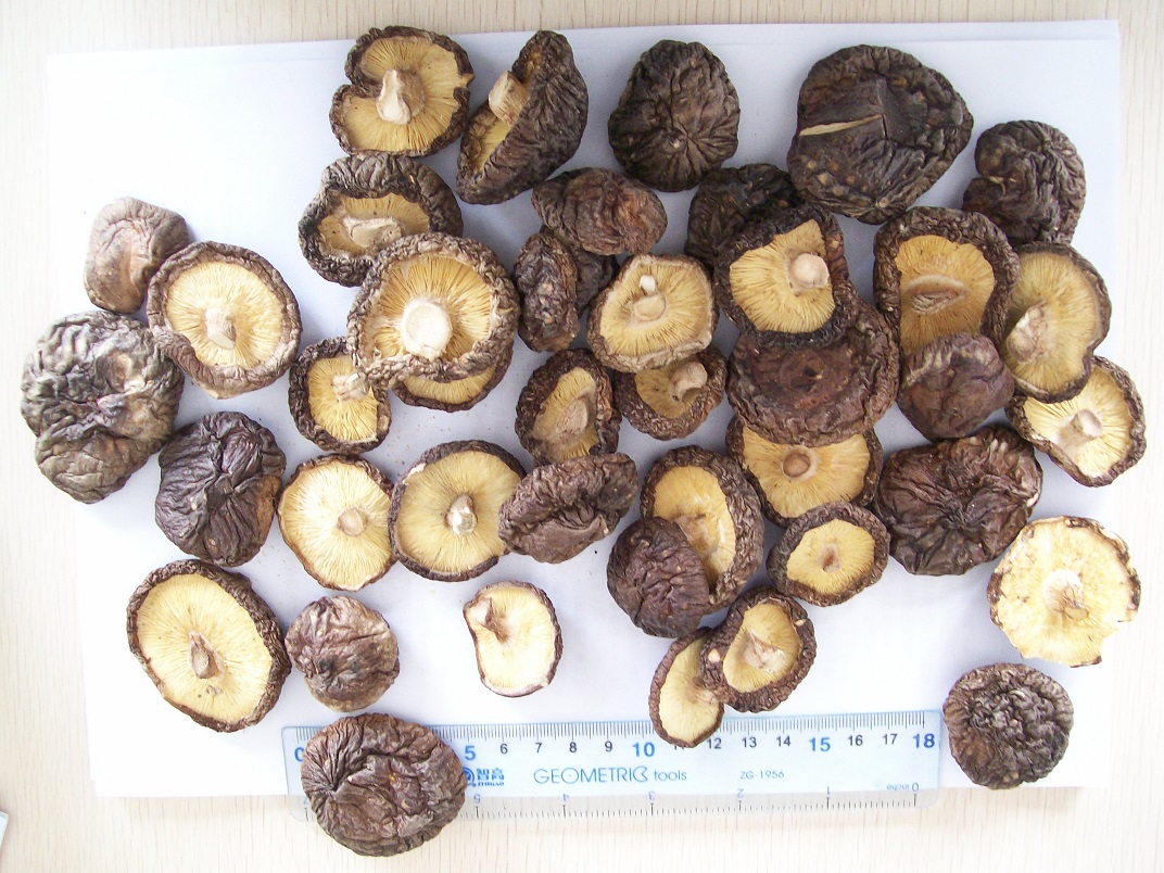 Dried shiitake whole