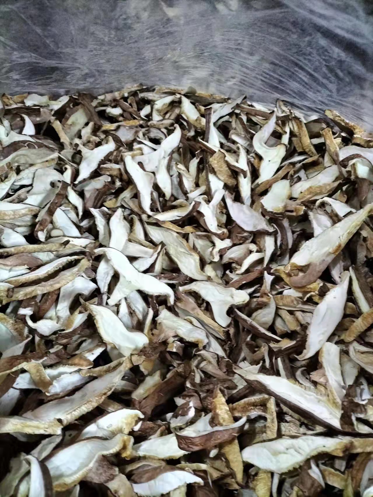 Dried shiitake slice